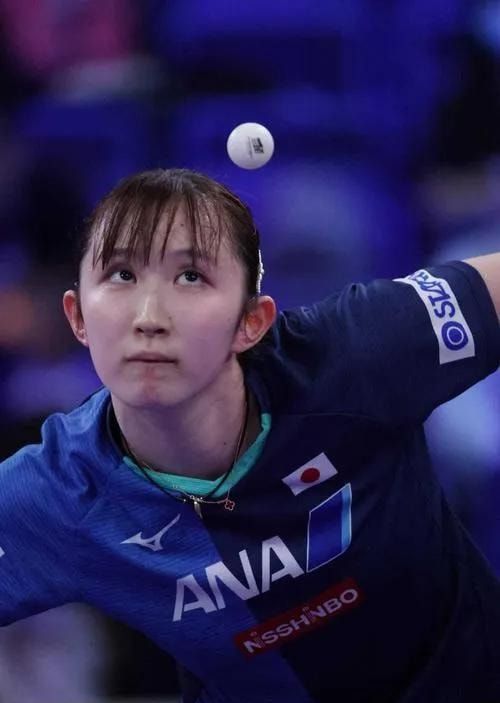 球迷与董事 球迷与董事